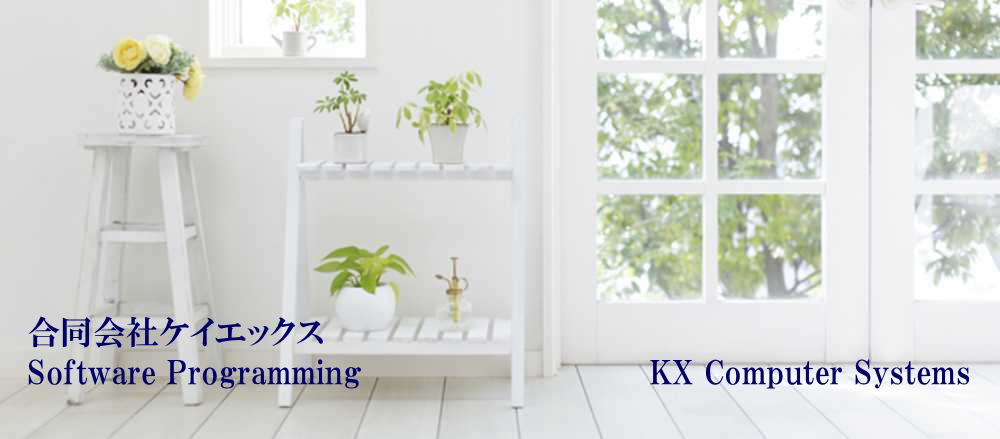 パソコンソフト作成合同会社ケイエックス